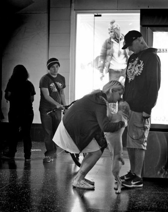 funny-pictures-507