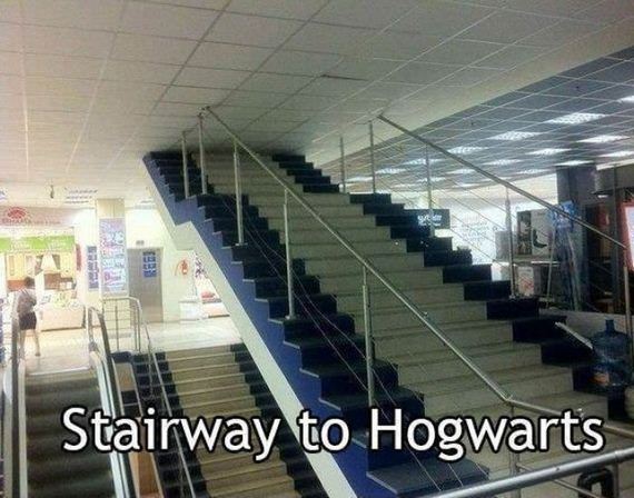 funny-pictures-507