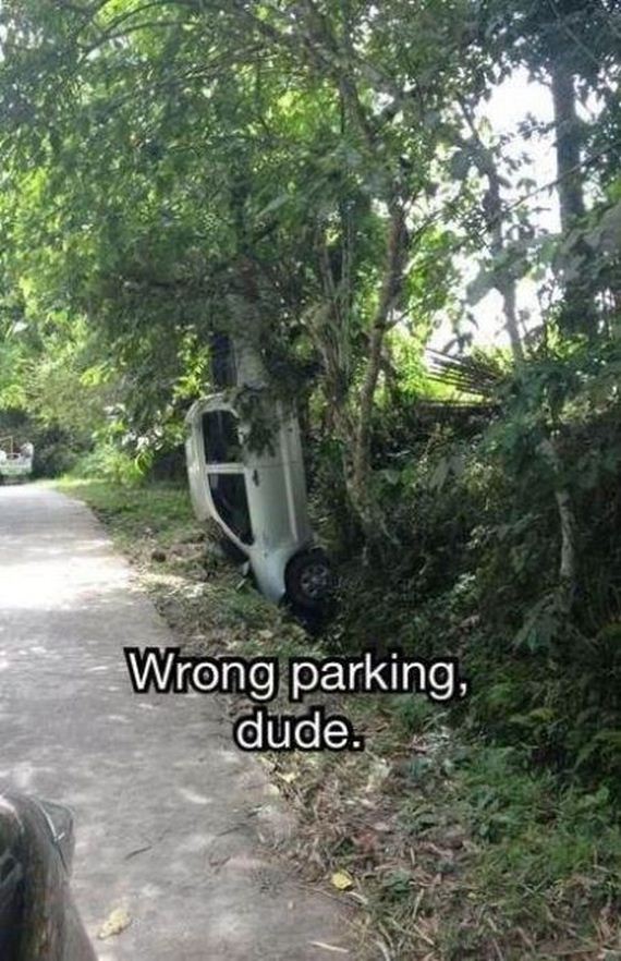 funny-pictures-507