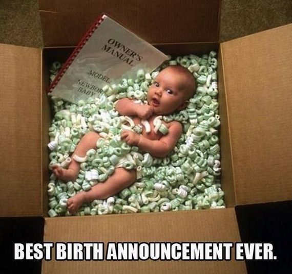 funny-pictures-507