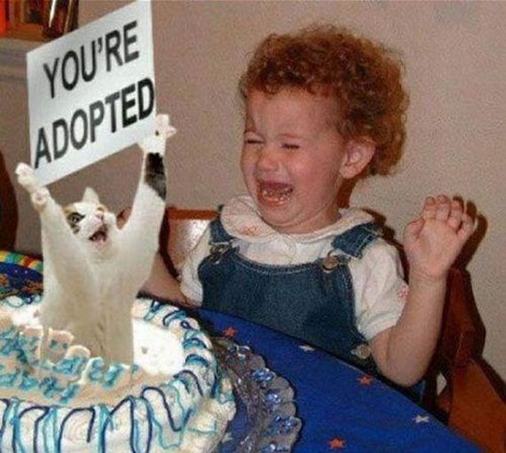 funny-pictures-507