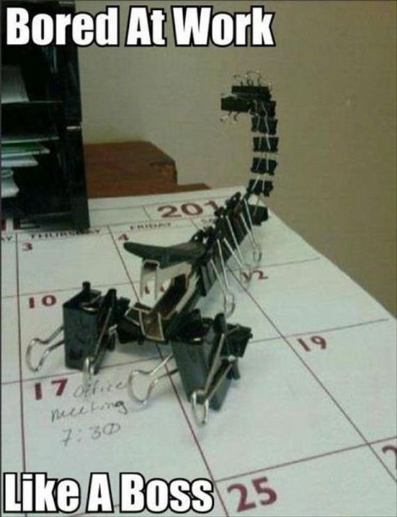 funny-pictures-507