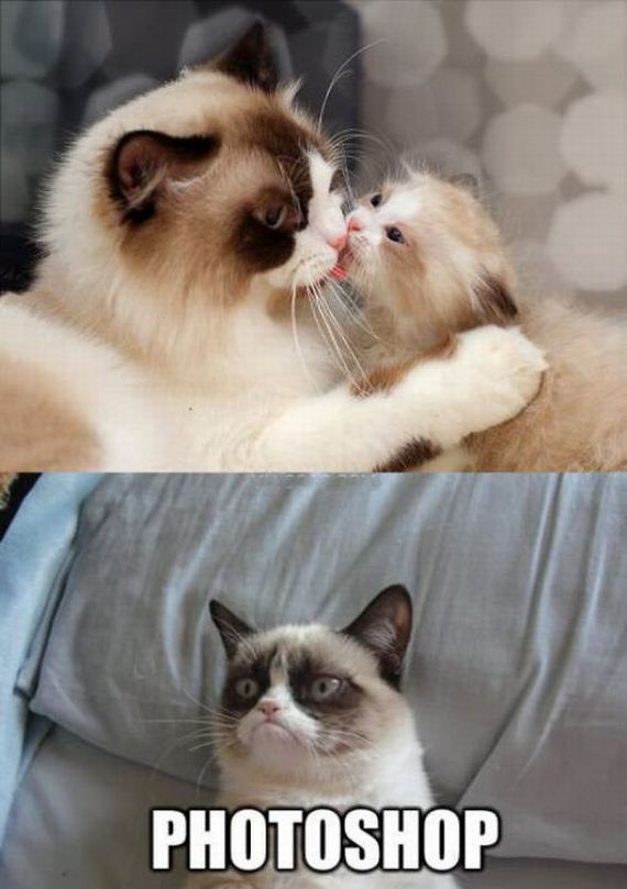 funny-pictures-507