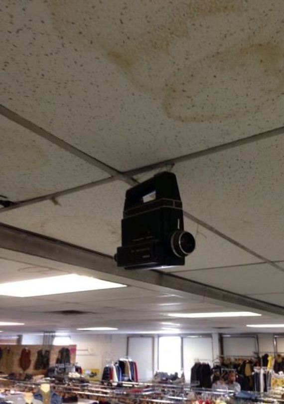 funny-pictures-507