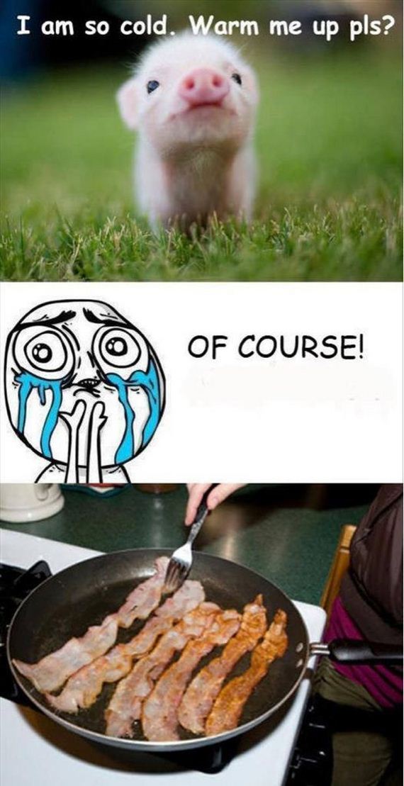 funny-pictures-507