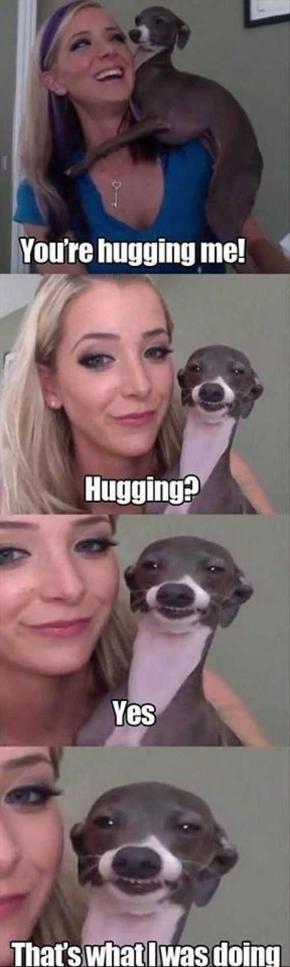 funny-pictures-511