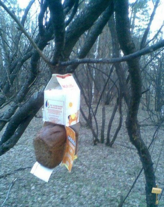 funny-pictures-511