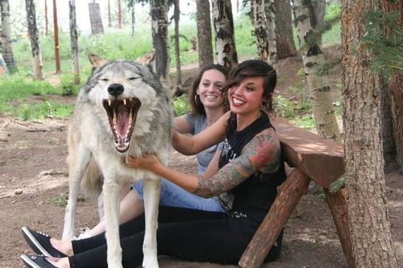 funny-pictures-511