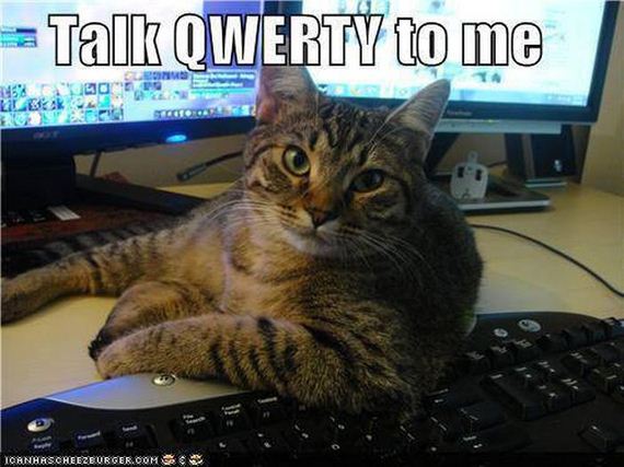 funny-pictures-511