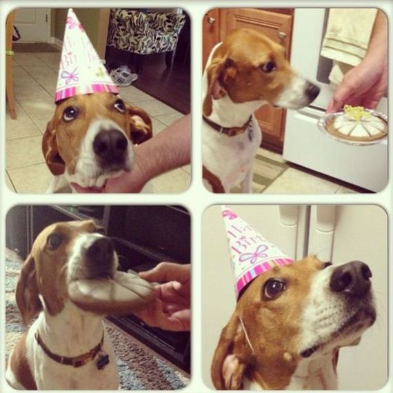 funny-pictures-511