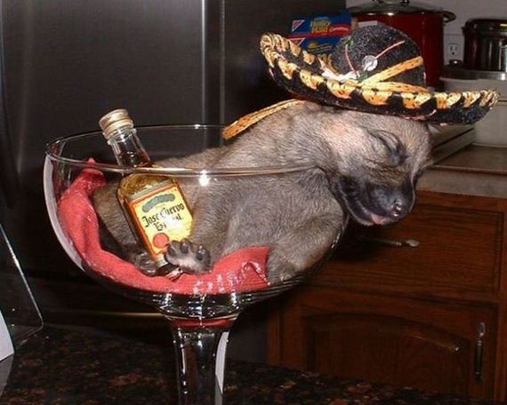 funny-pictures-511