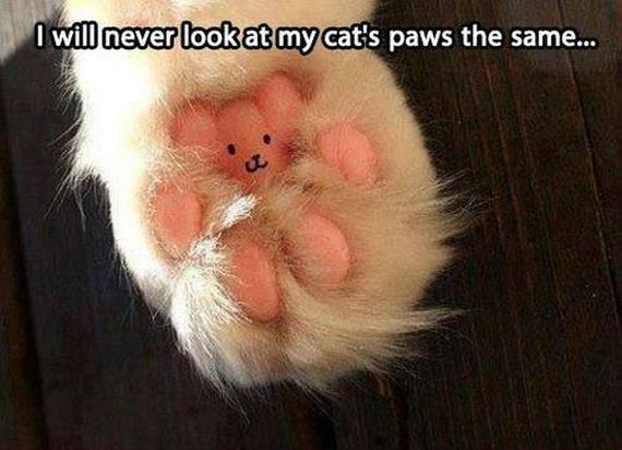 funny-pictures-511