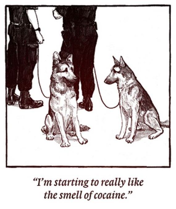 funny-pictures-511
