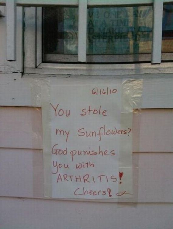 funny-pictures-511
