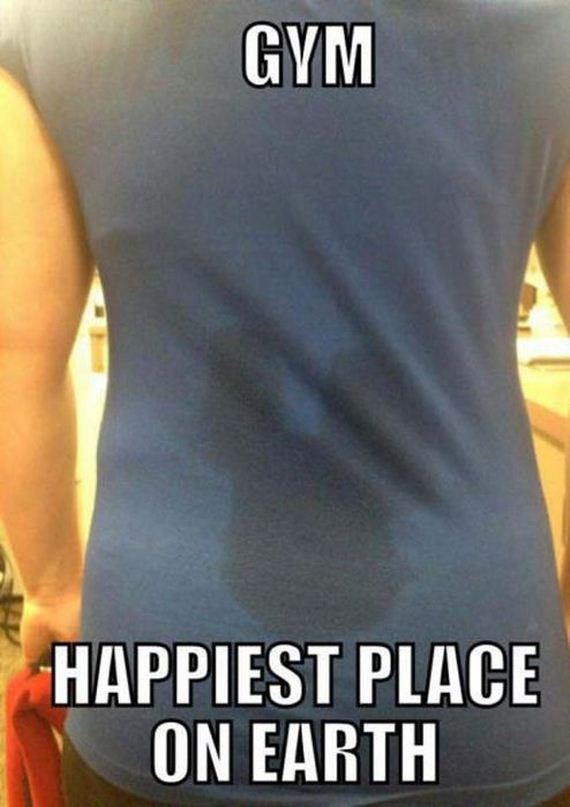 funny-pictures-512