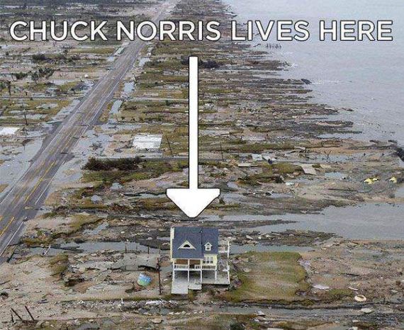 funny-pictures-513