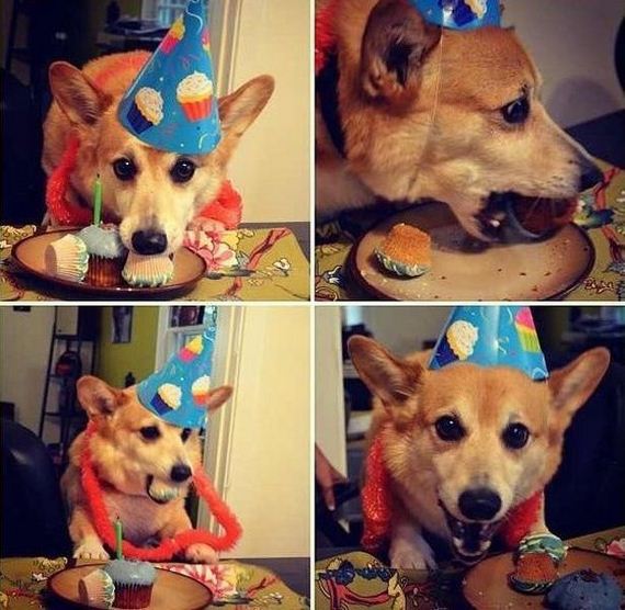 funny-pictures-513