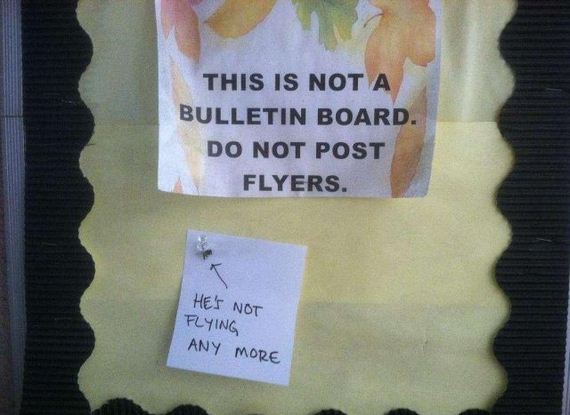 funny-pictures-513