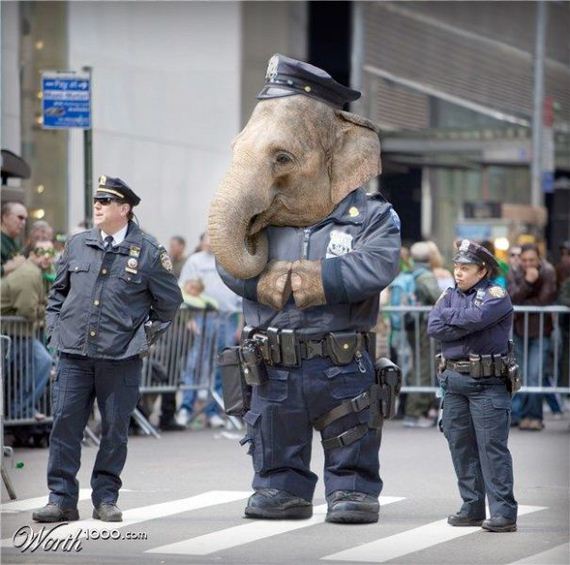 funny-pictures-513