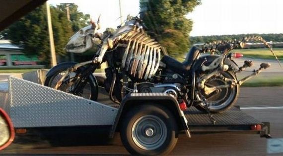 funny-pictures-516