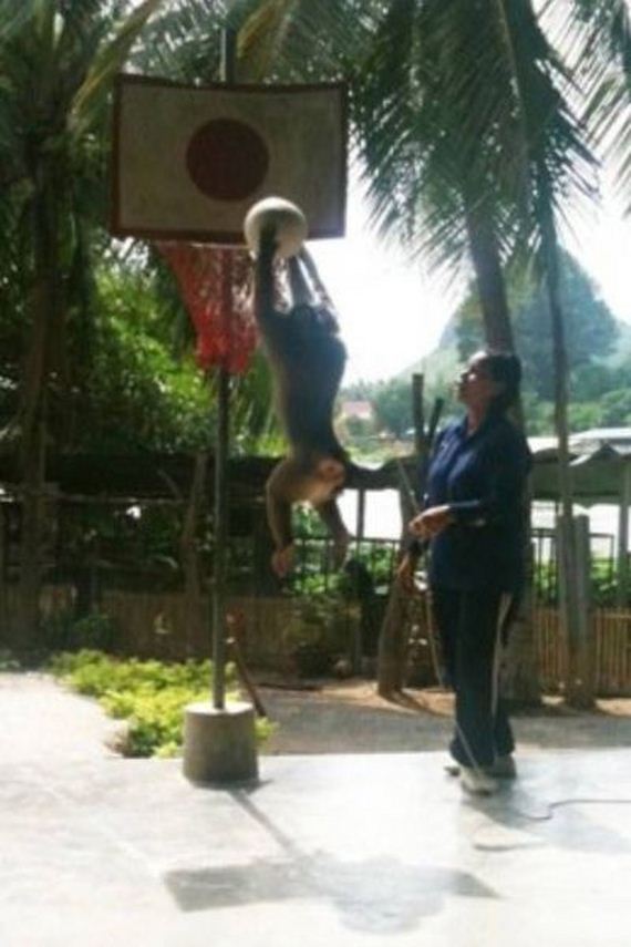 funny-pictures-516