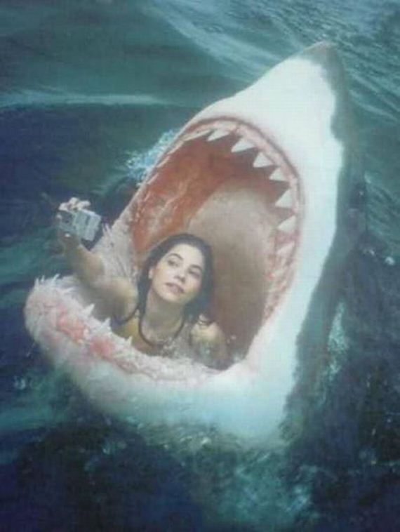 funny-pictures-516