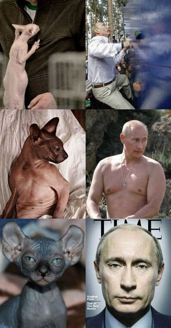 funny-pictures-518