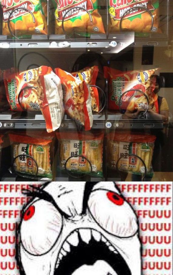 funny-pictures-519
