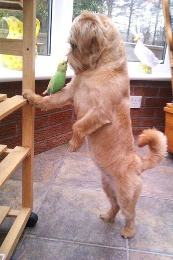 funny-pictures-519