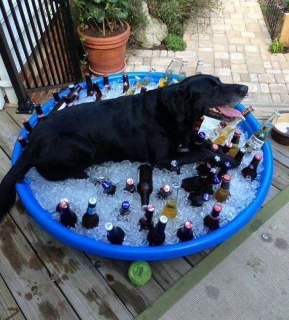funny-pictures-519