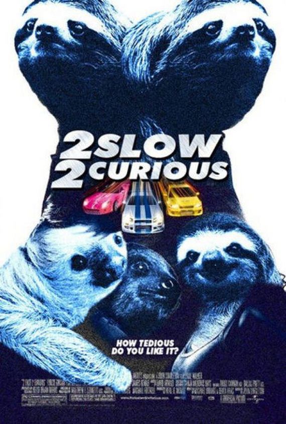funny-pictures-519