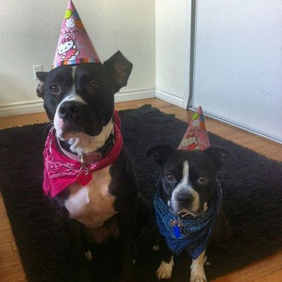 funny-pictures-519