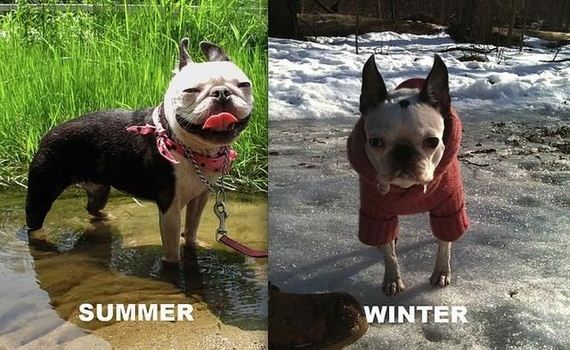 funny-pictures-519