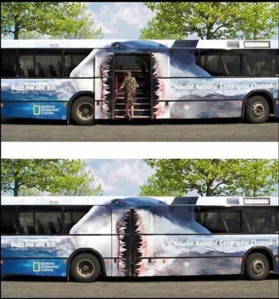 funny-pictures-519
