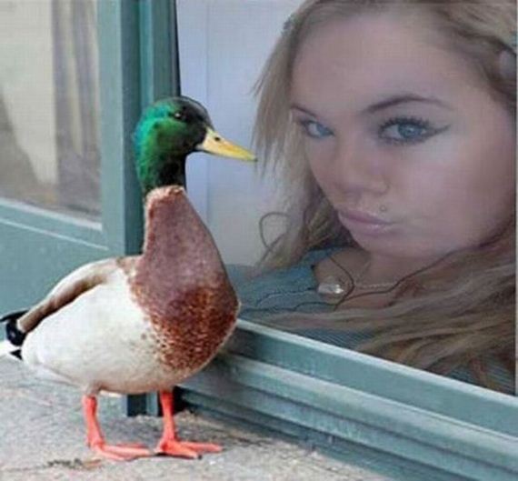 funny-pictures-519