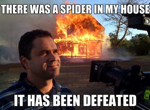 funny-pictures-520