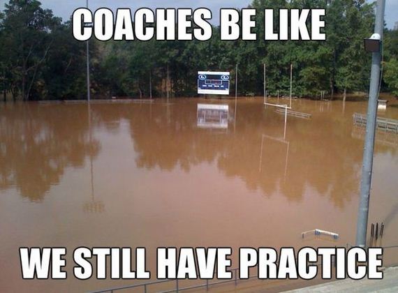funny-pictures-520