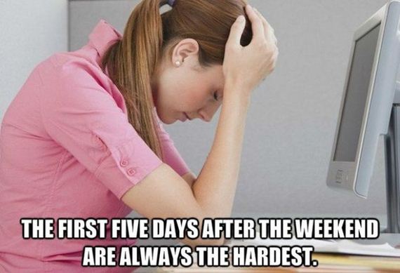 funny-pictures-520