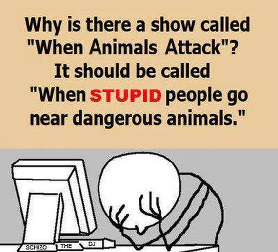 funny-pictures-521