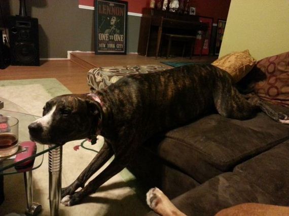 funny-pictures-521
