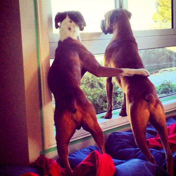 funny-pictures-521