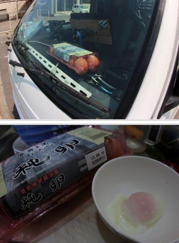 funny-pictures-521