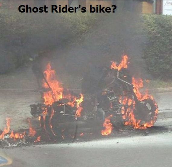 funny-pictures-521