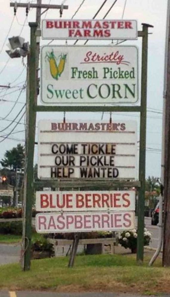 funny-pictures-522
