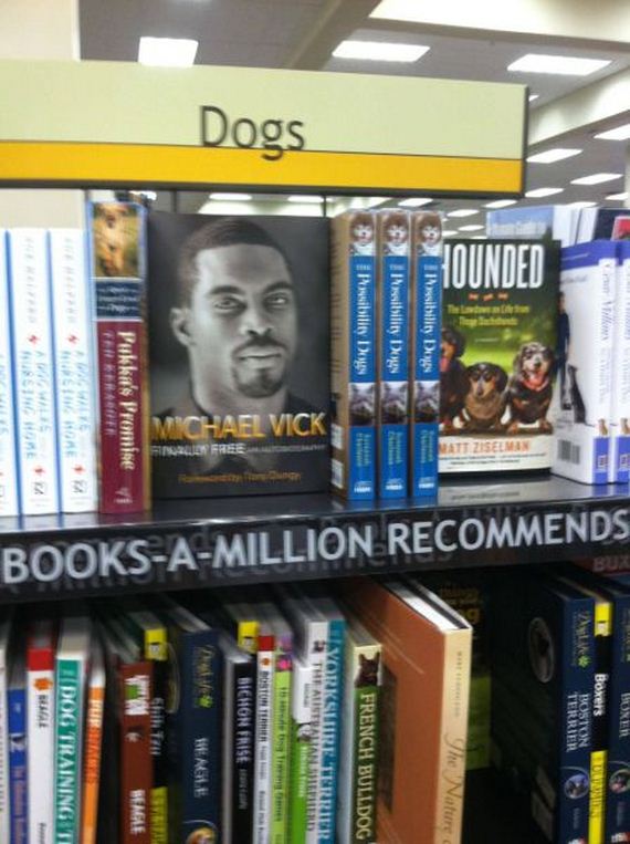 funny-pictures-522