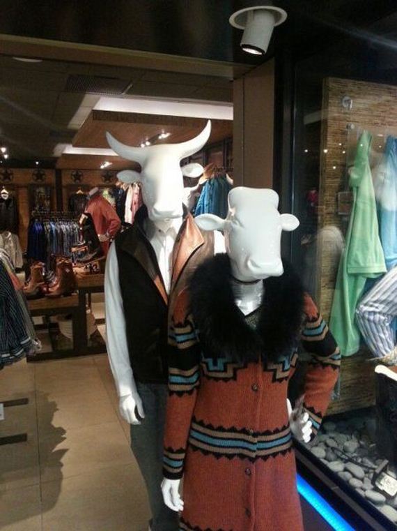 funny-pictures-523