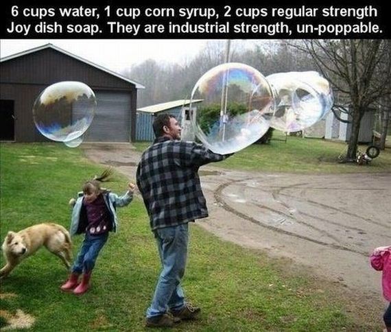 funny-pictures-523