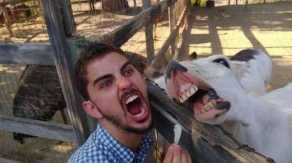 funny-pictures-523