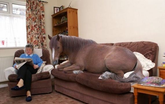 funny-pictures-523