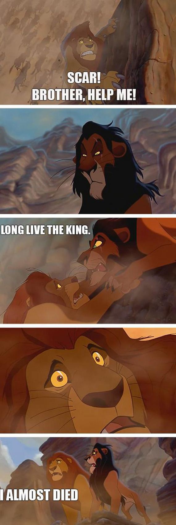 funny-pictures-524